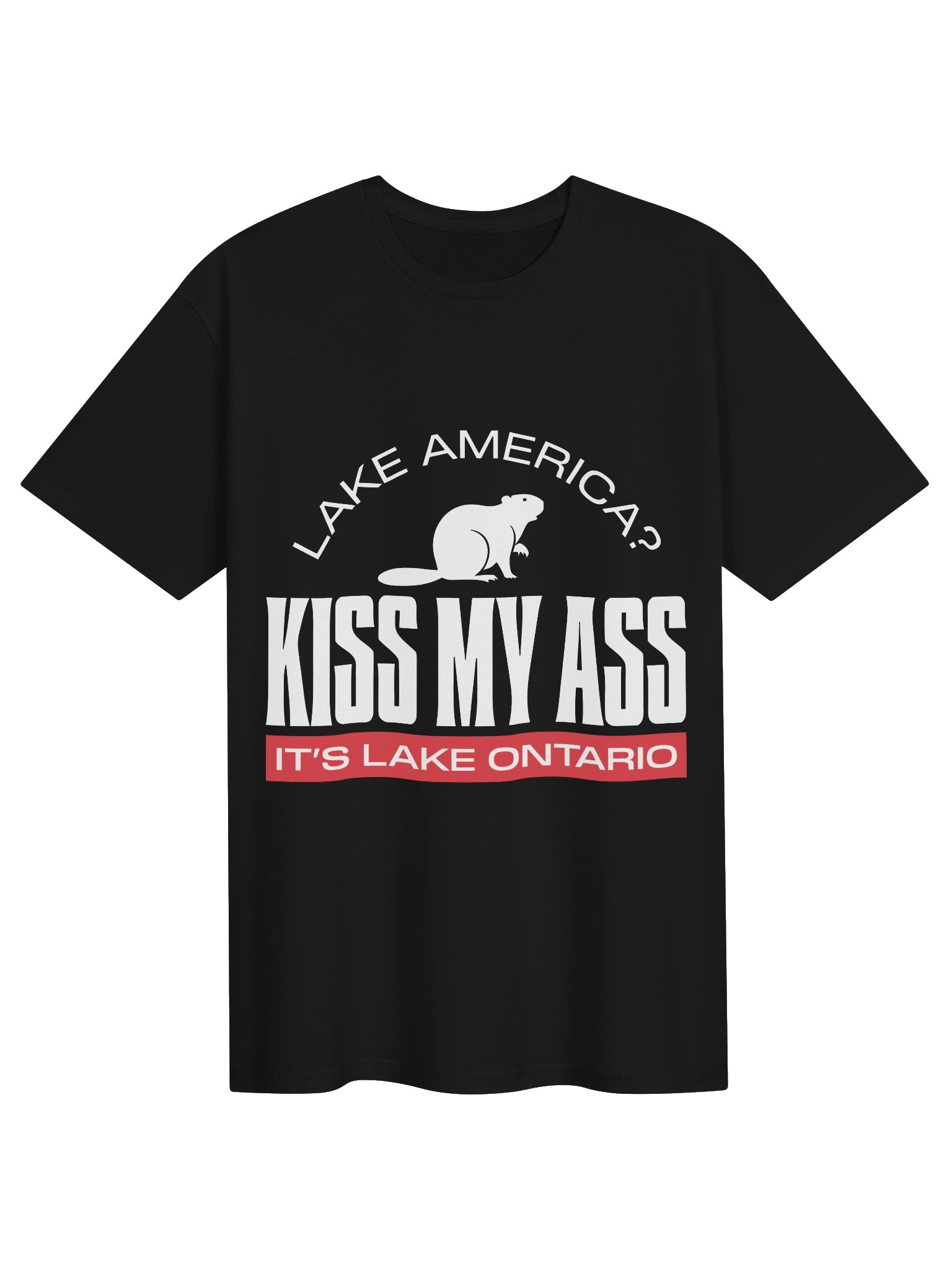 Kiss My Ass - It's Lake Ontario tee - White Edition product image (3)