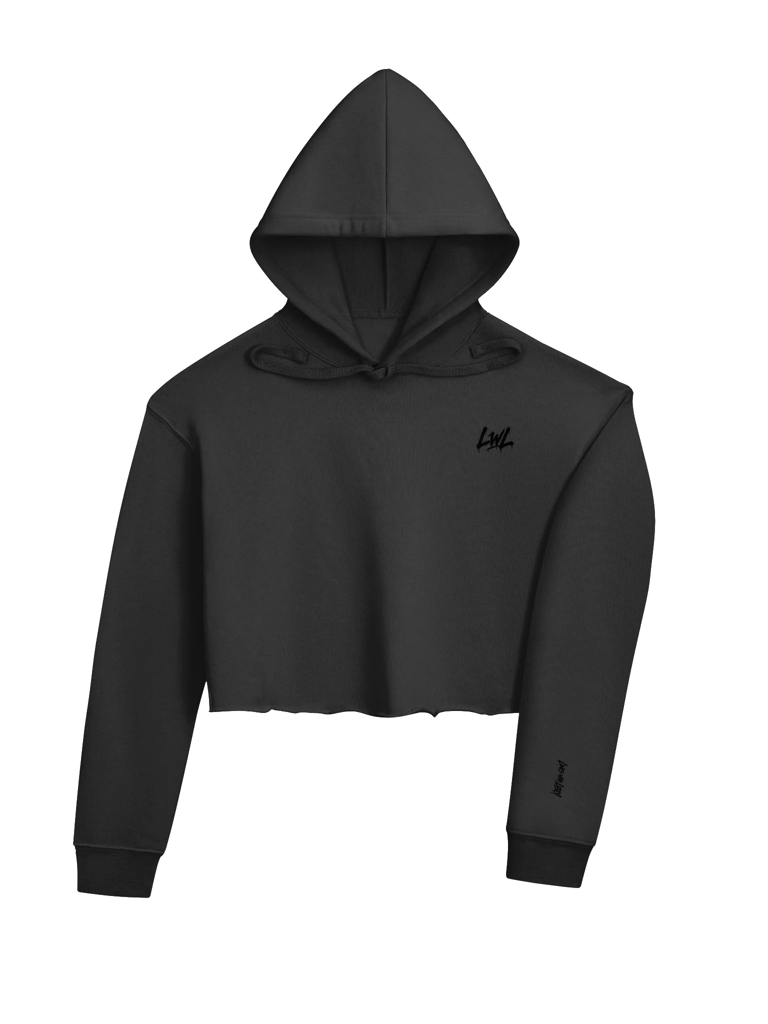 LWL Cropped Hoodie product image (2)