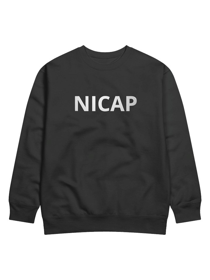 NICAP Embroidered Premium Sweatshirt, Fallen Angel, Multiple Colors Sweatshirt, Sci Fi Lovers Gift Sweatshirt product image (1)