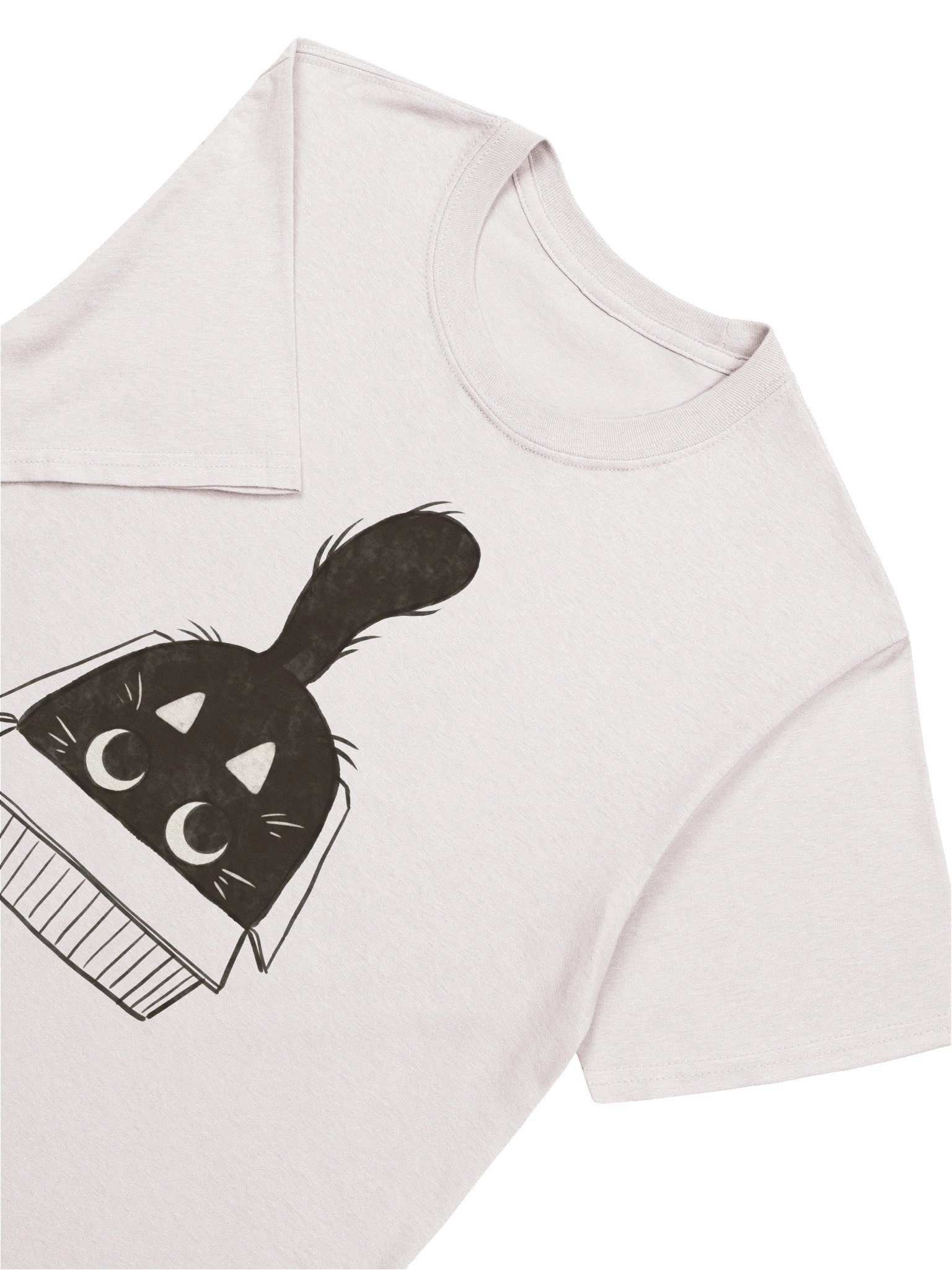 Cat In Box T-Shirt product image (42)