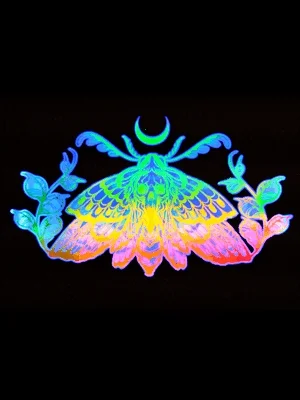 Death Head Moth [13x16] product image (5)
