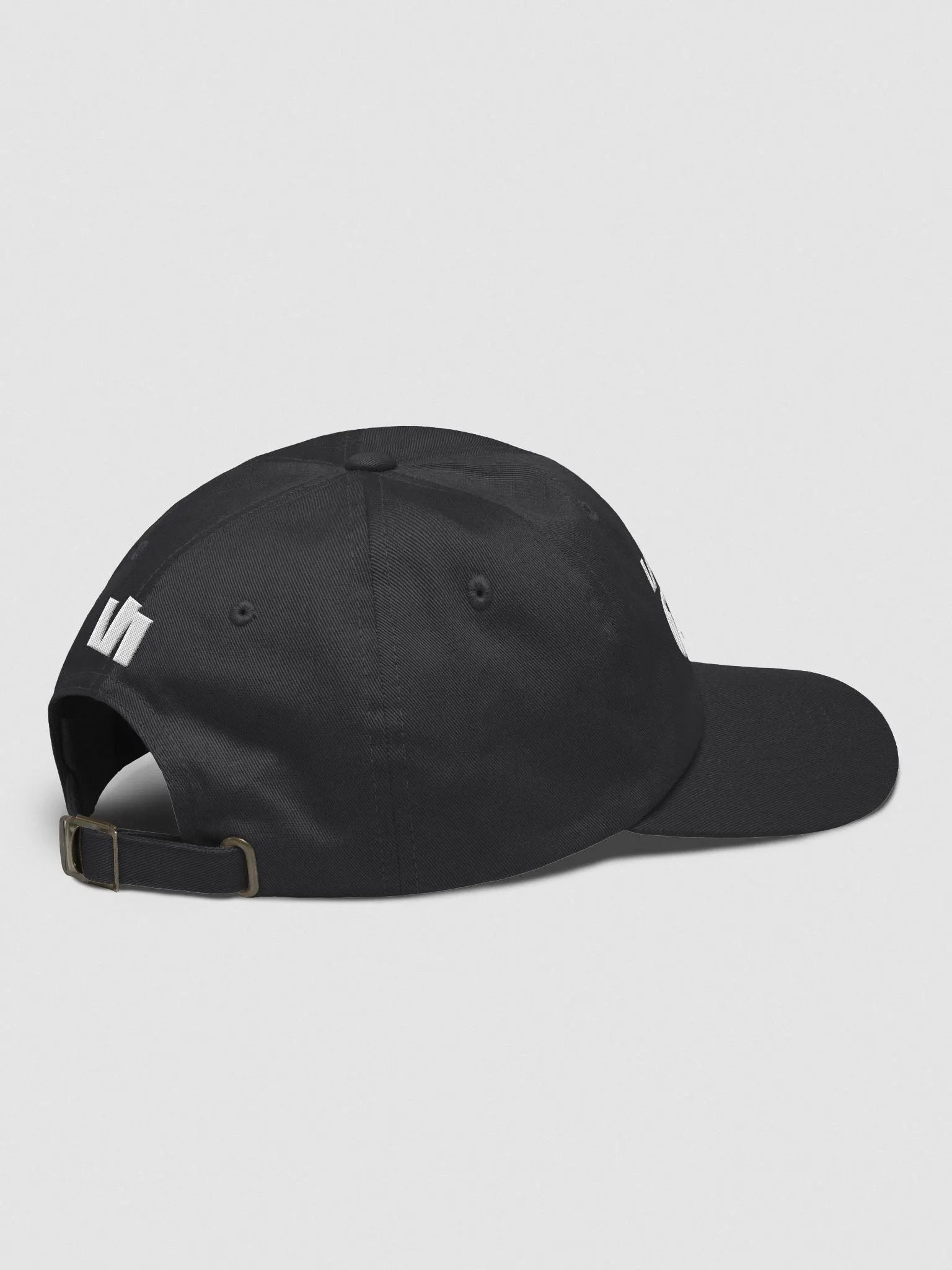 New Logo V1 Hat product image (25)