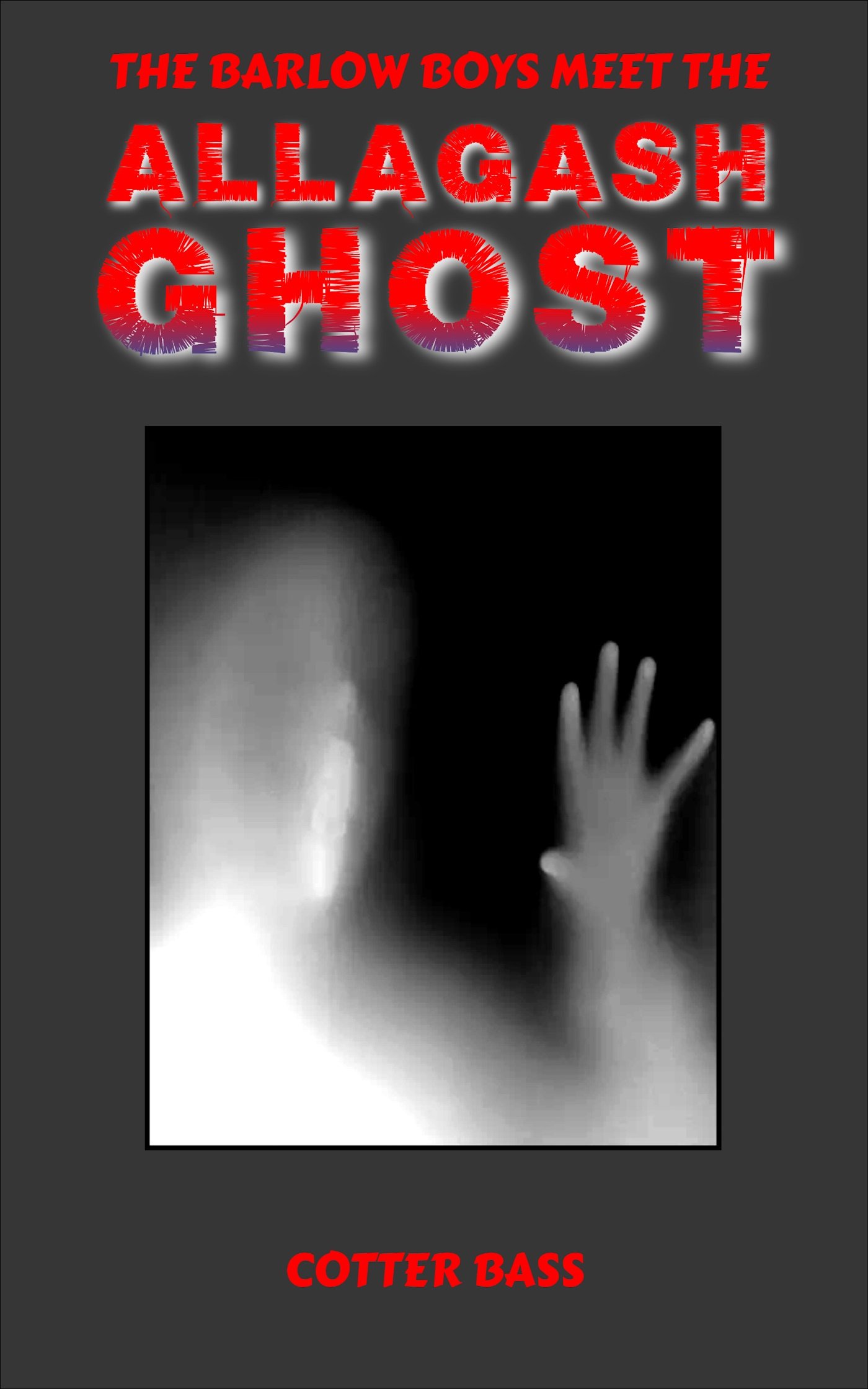 THE ALLAGASH GHOST product image (1)