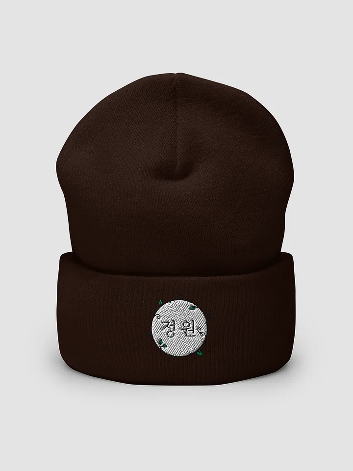 Seal Cuffed Beanie product image (2)