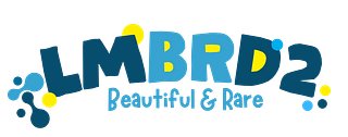LMBRD2 STORE