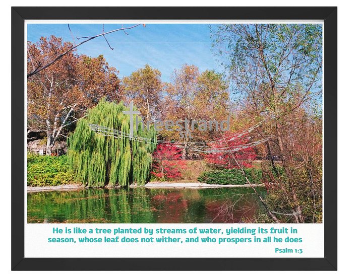 Vibrant Ayous Wood Framed Poster - Autumn Pond product image (4)