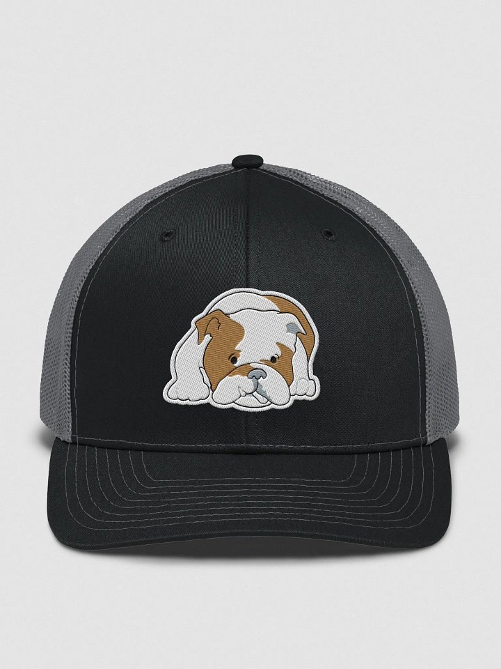 Bulldog Cap product image (1)