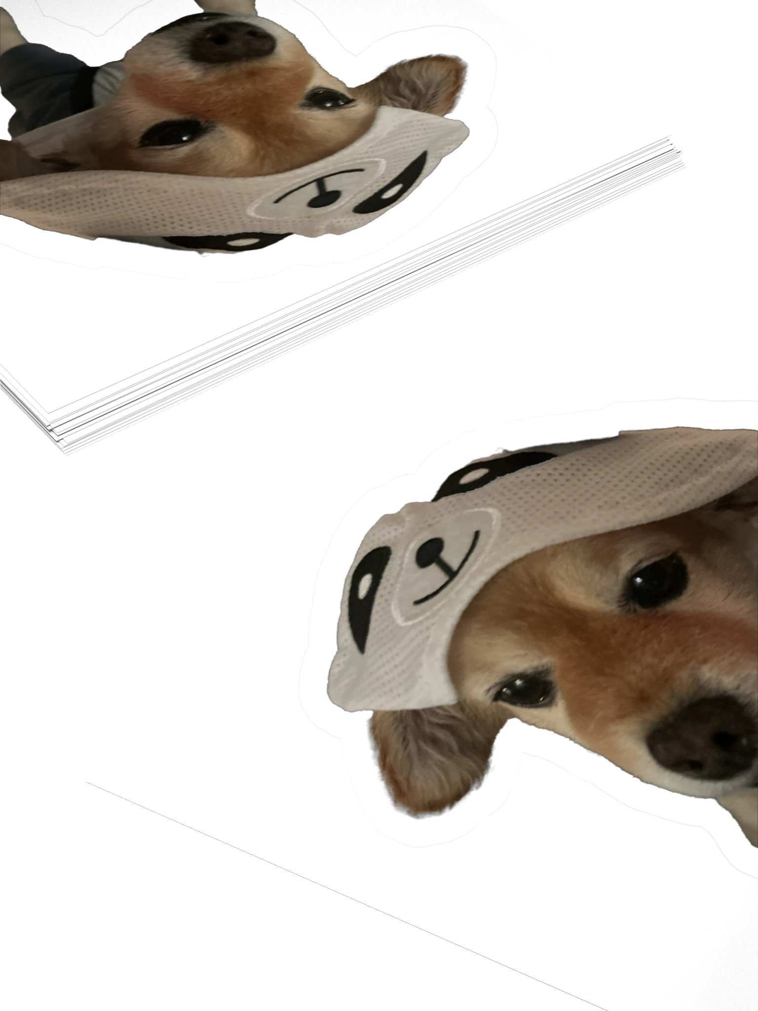 Imposter Syndrome product image (11)