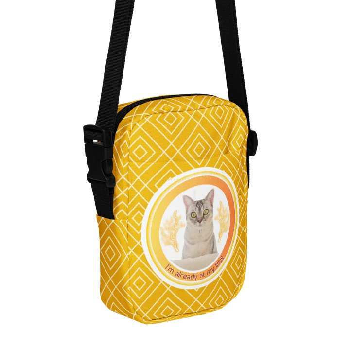 KC, At My Limit (kitty), Patterned Utility Bag product image (1)