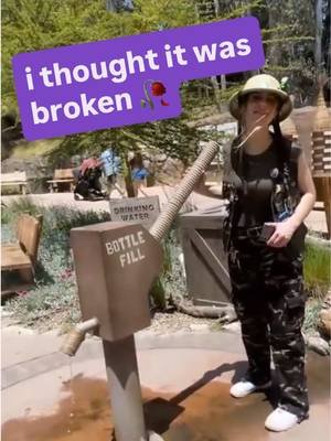 watch the full zoo recap on youtube 📹 (link in bio)