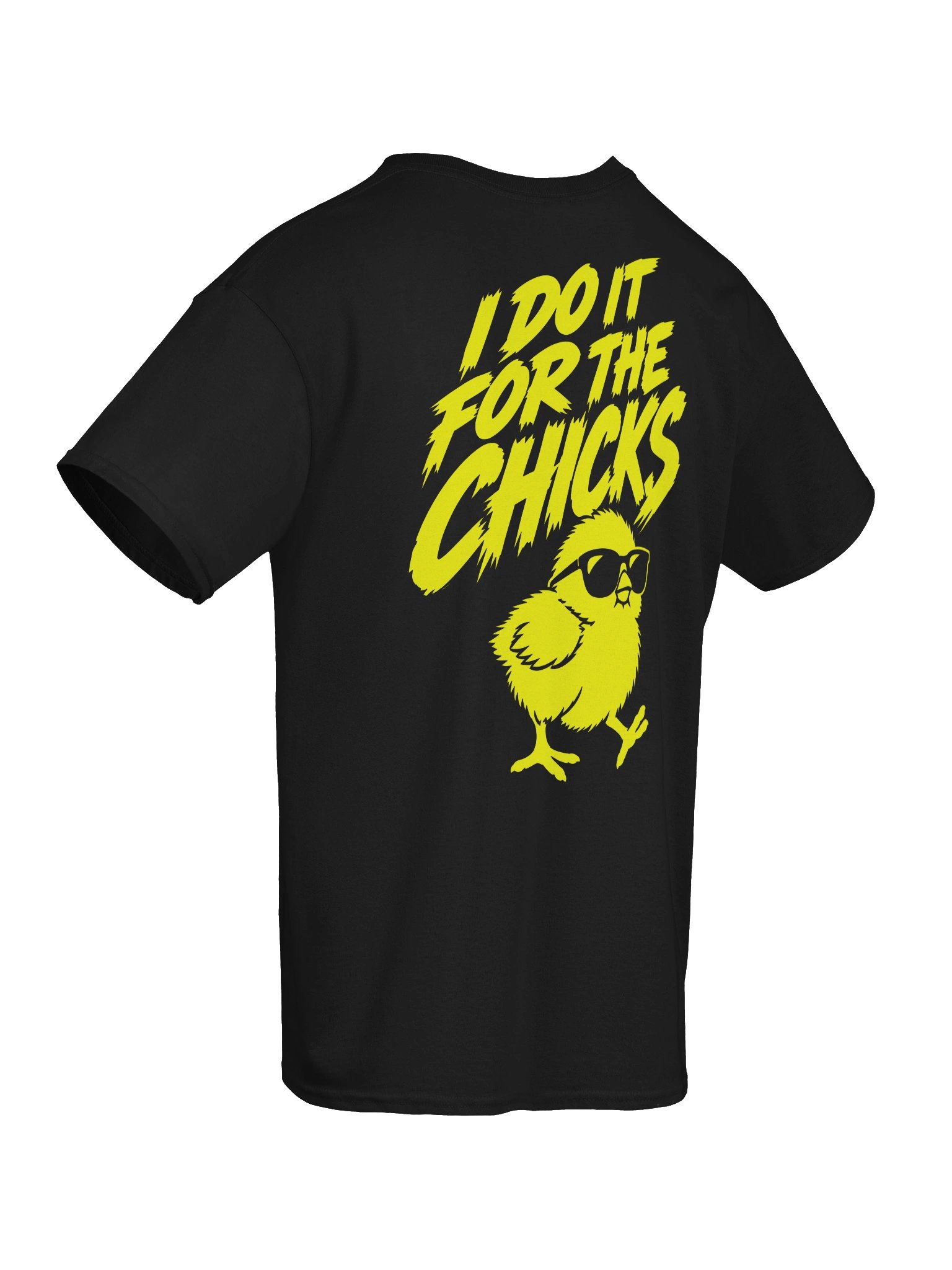 I Do It for the Chicks T-Shirt product image (8)