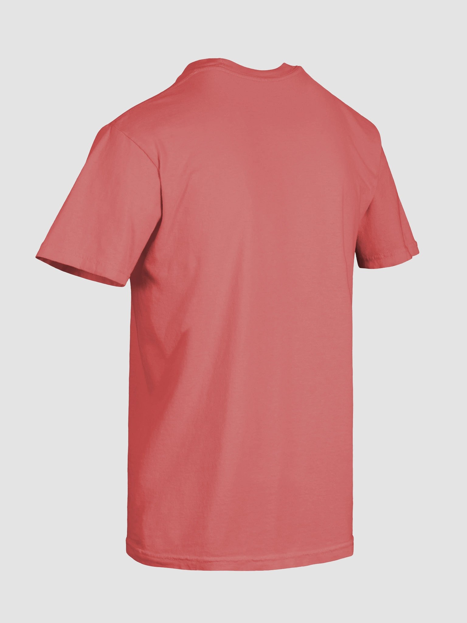 Articulate Vileness Shirt product image (8)