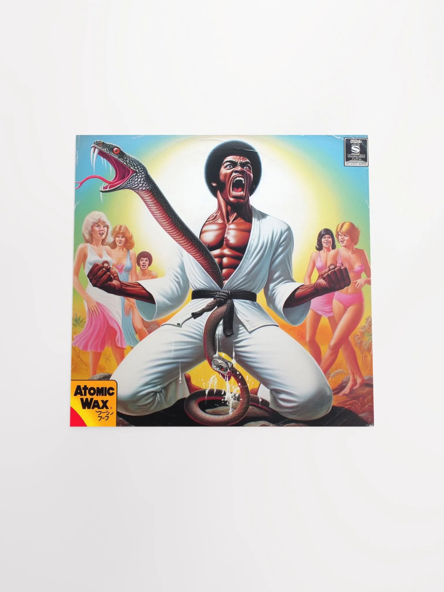 Kung Fu D*ck Mating Call Poster product image (10)