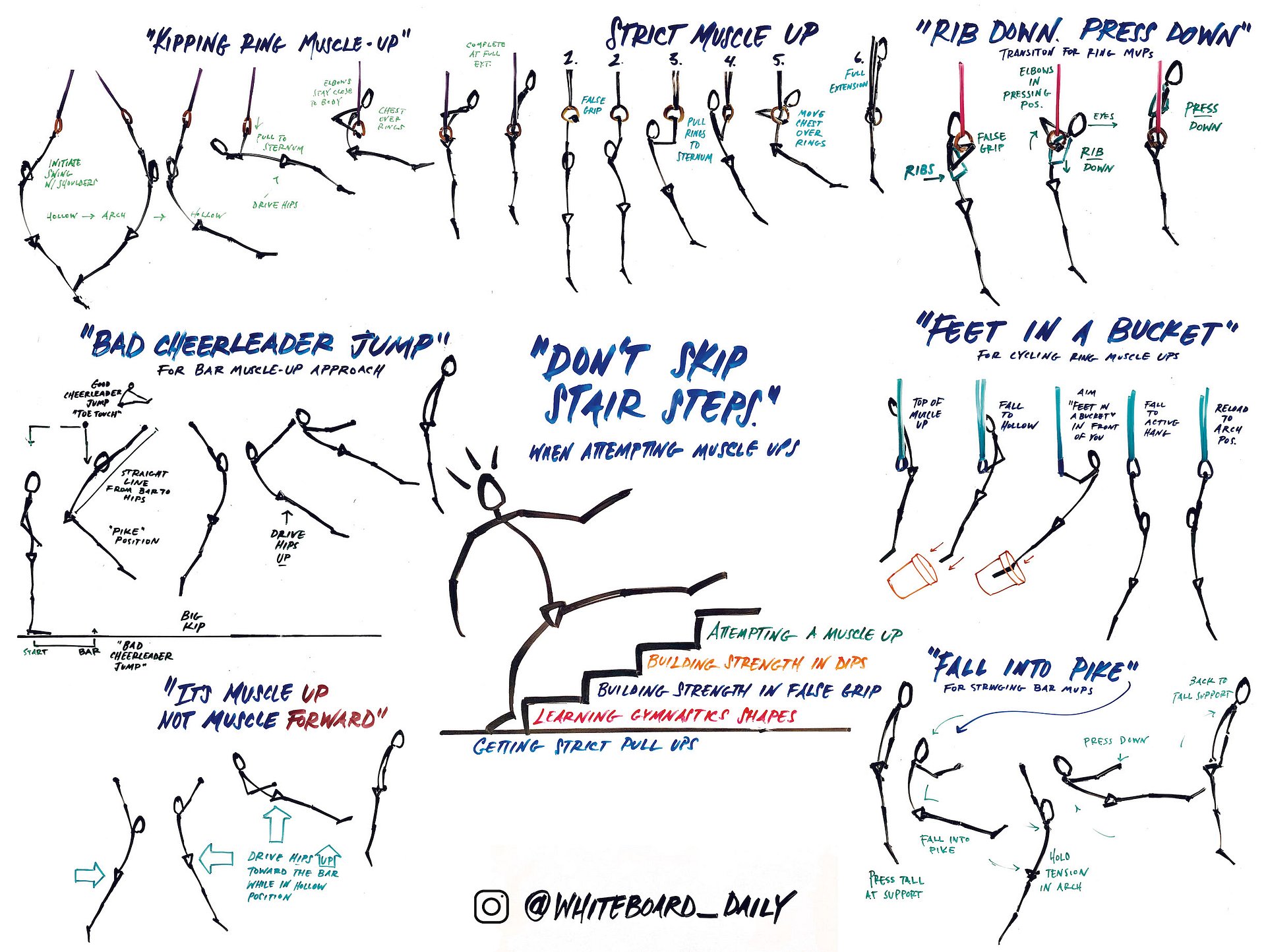 Digital Poster: Muscle-Up Cues - Full Color product image (1)