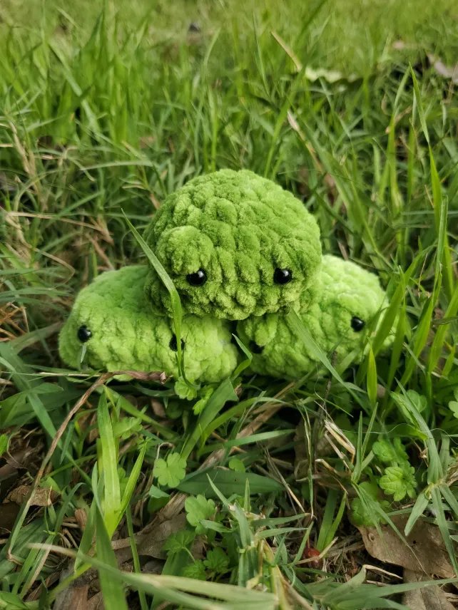 Pocket Frog product image (1)