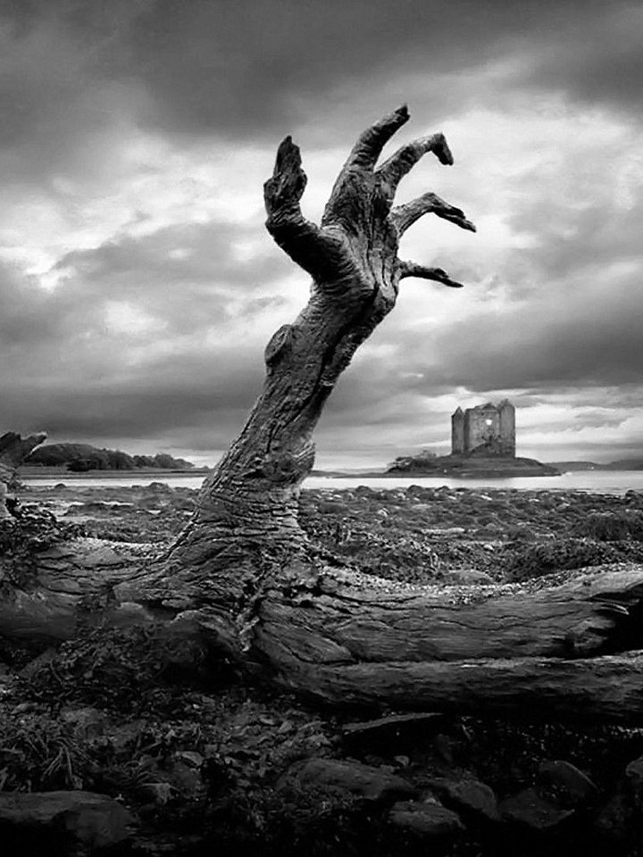 Mandible Presents: QuietPlace - Pillars of Bone EP product image (1)