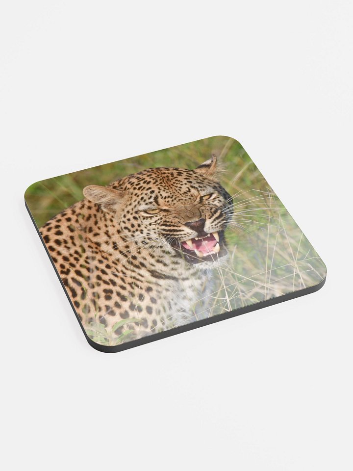 The Spotted Sip | Natural Leopard Print Cork Coaster Set product image (2)
