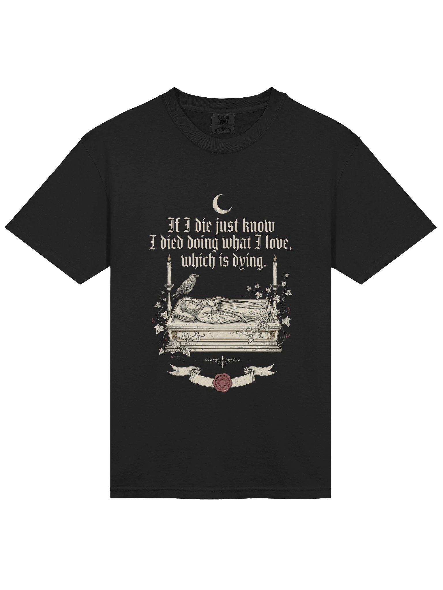 I Died Doing What I Love T-Shirt product image (1)