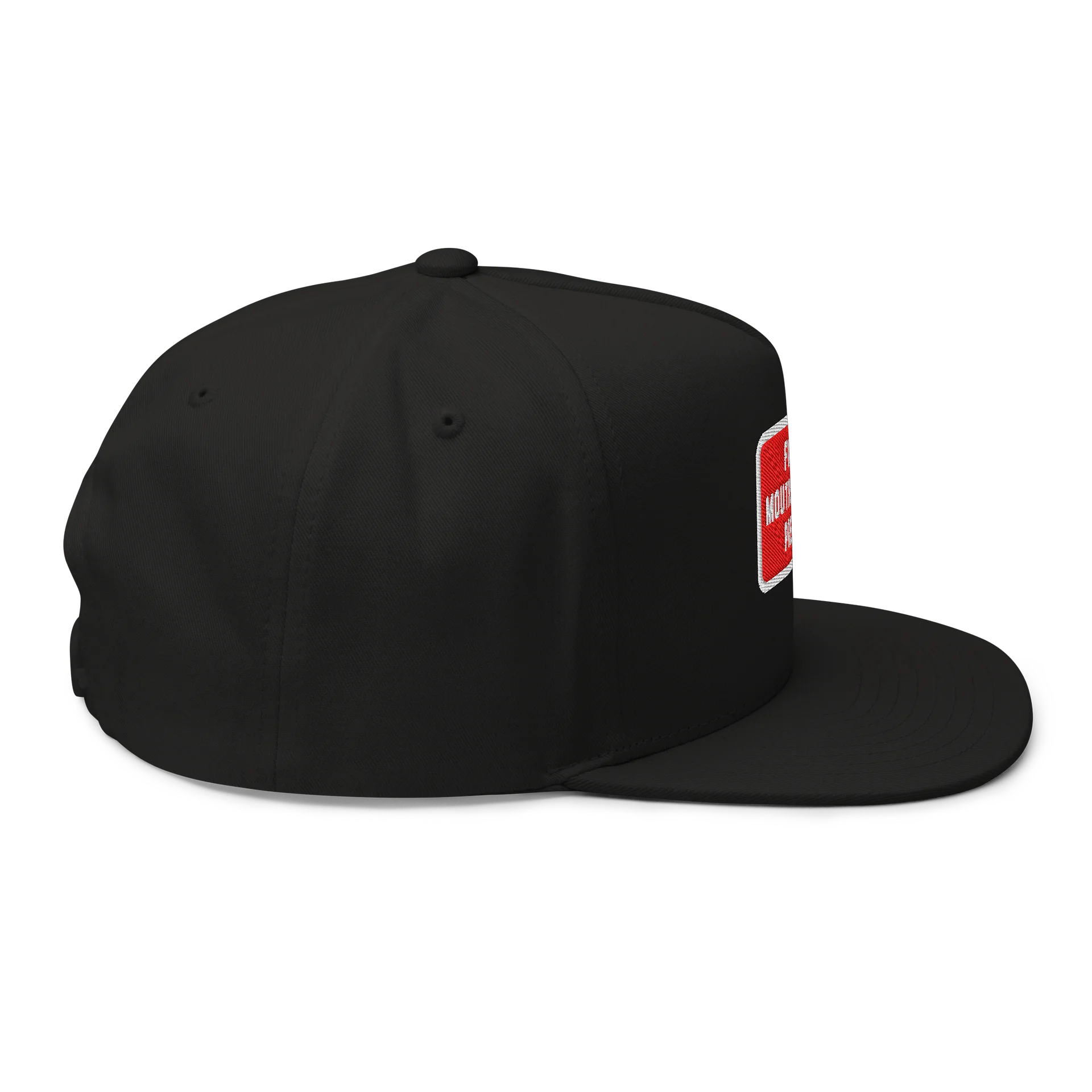 MOUTHS DONT GET PREGNANT - Embroidered SnapBack product image (6)