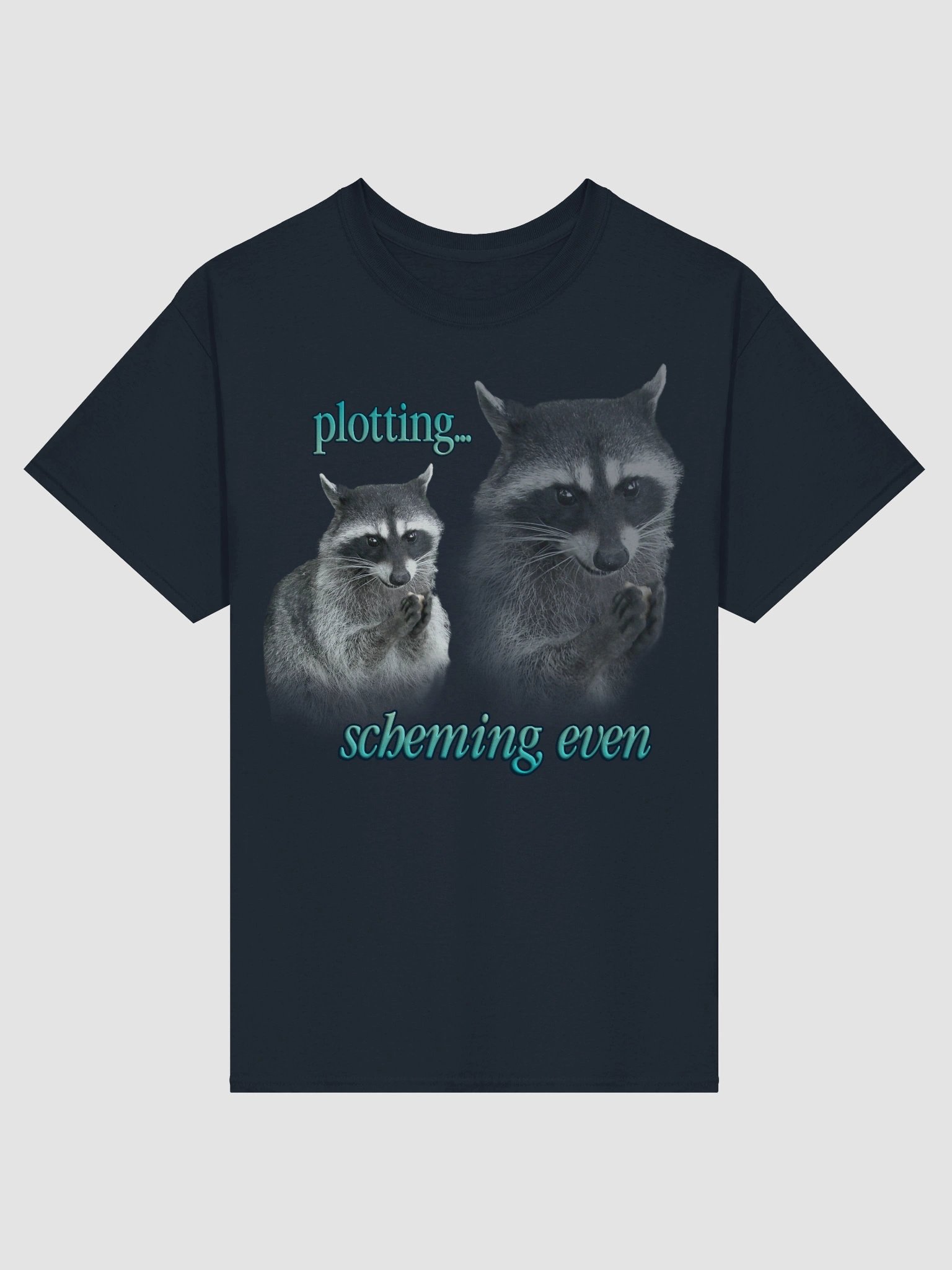 Plotting & Scheming Raccoon T-Shirt product image (2)