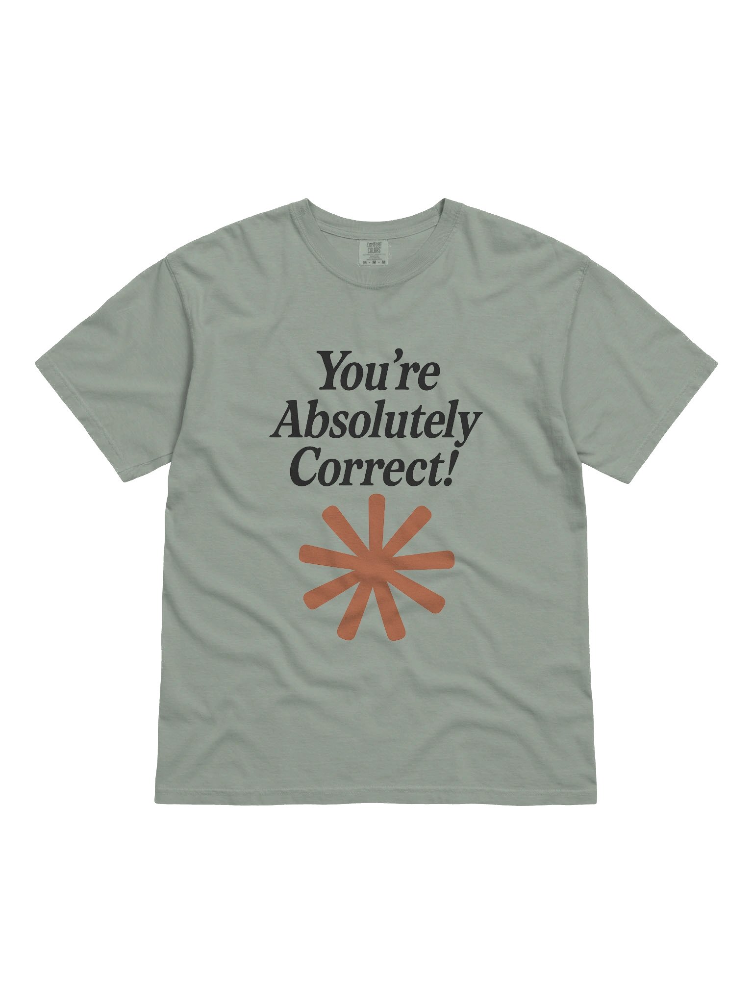 “You’re Absolutely Correct!” - AI Inside-Joke Unisex Tee | Dev & Data Nerd Gift product image (1)