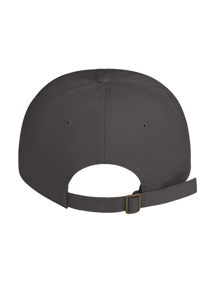 STOP THE CHOP | Rainbow Lorikeet | Unisex | Organic Dad Hat product image (2)