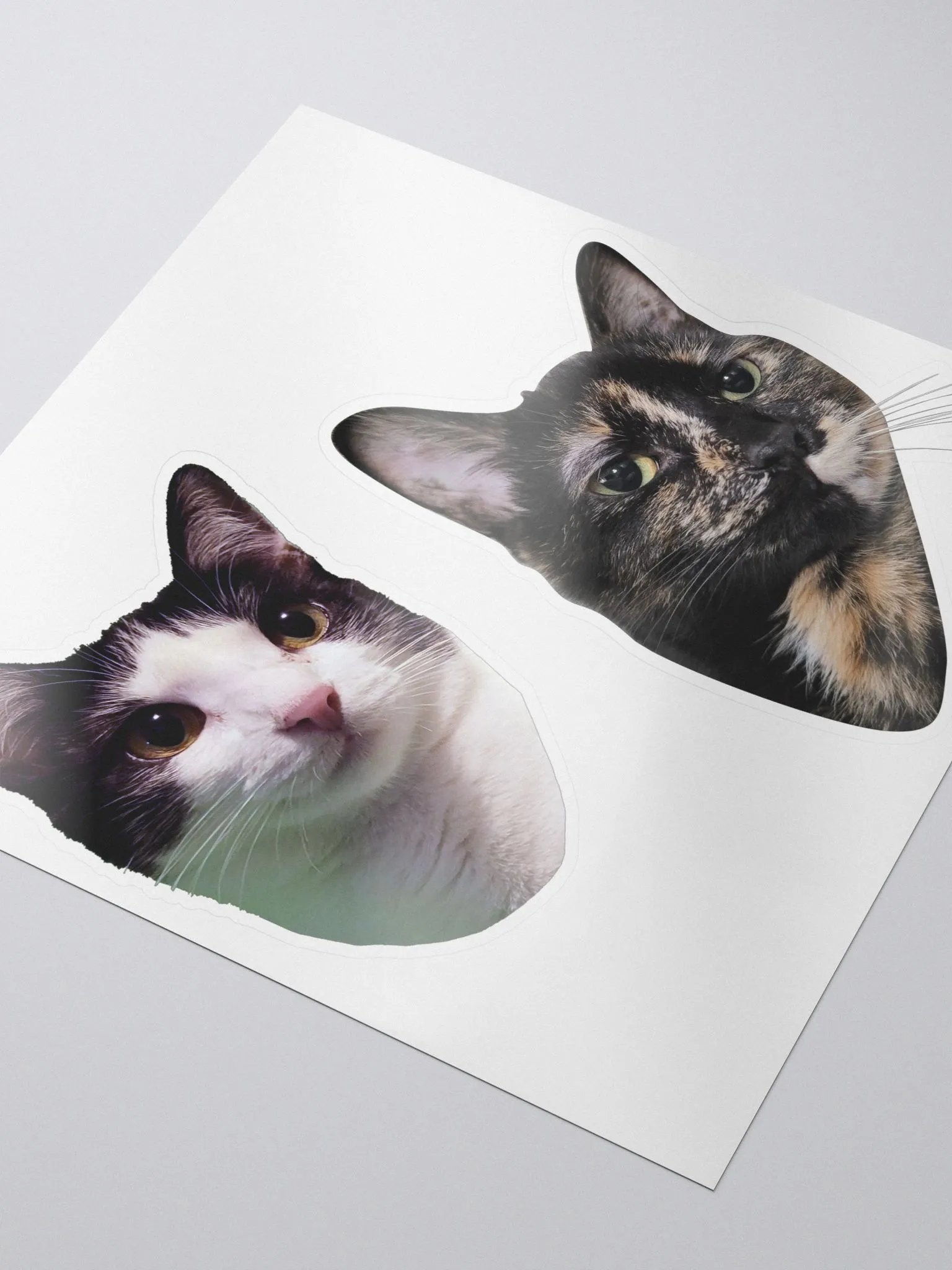 Iris & Roxy Sticker Set product image (3)