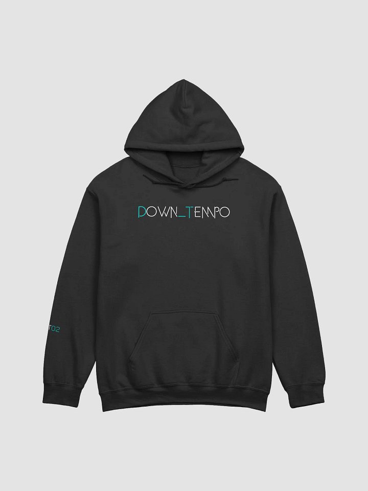 Down_Tempo Collection D_T02 Hoodie product image (2)