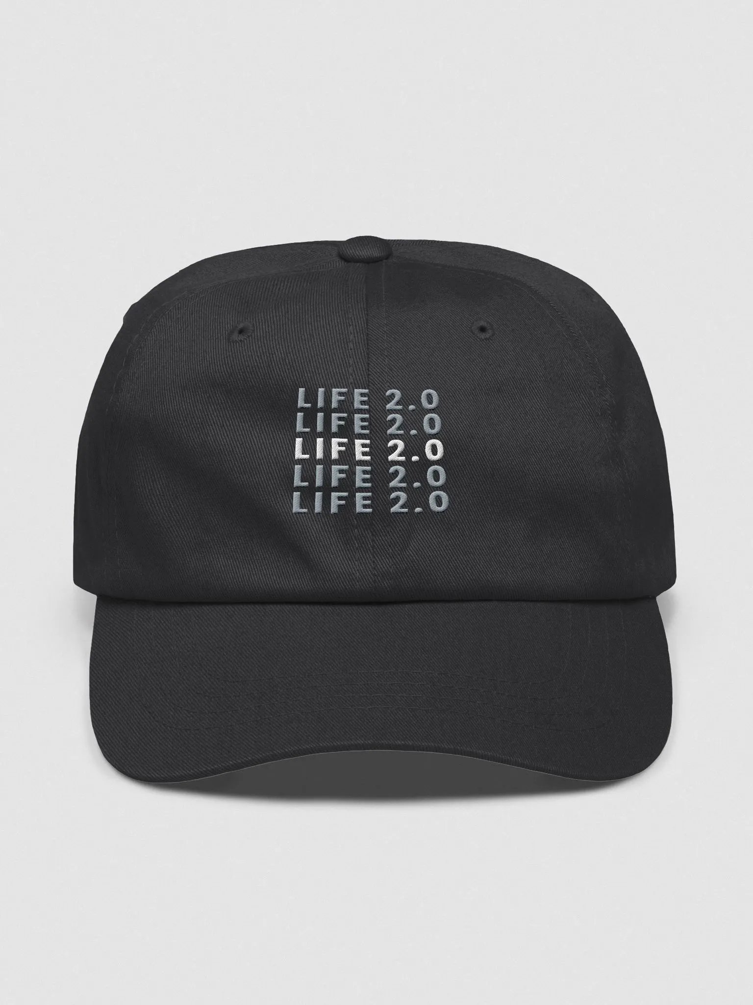 Life 2.0 Hat product image (1)