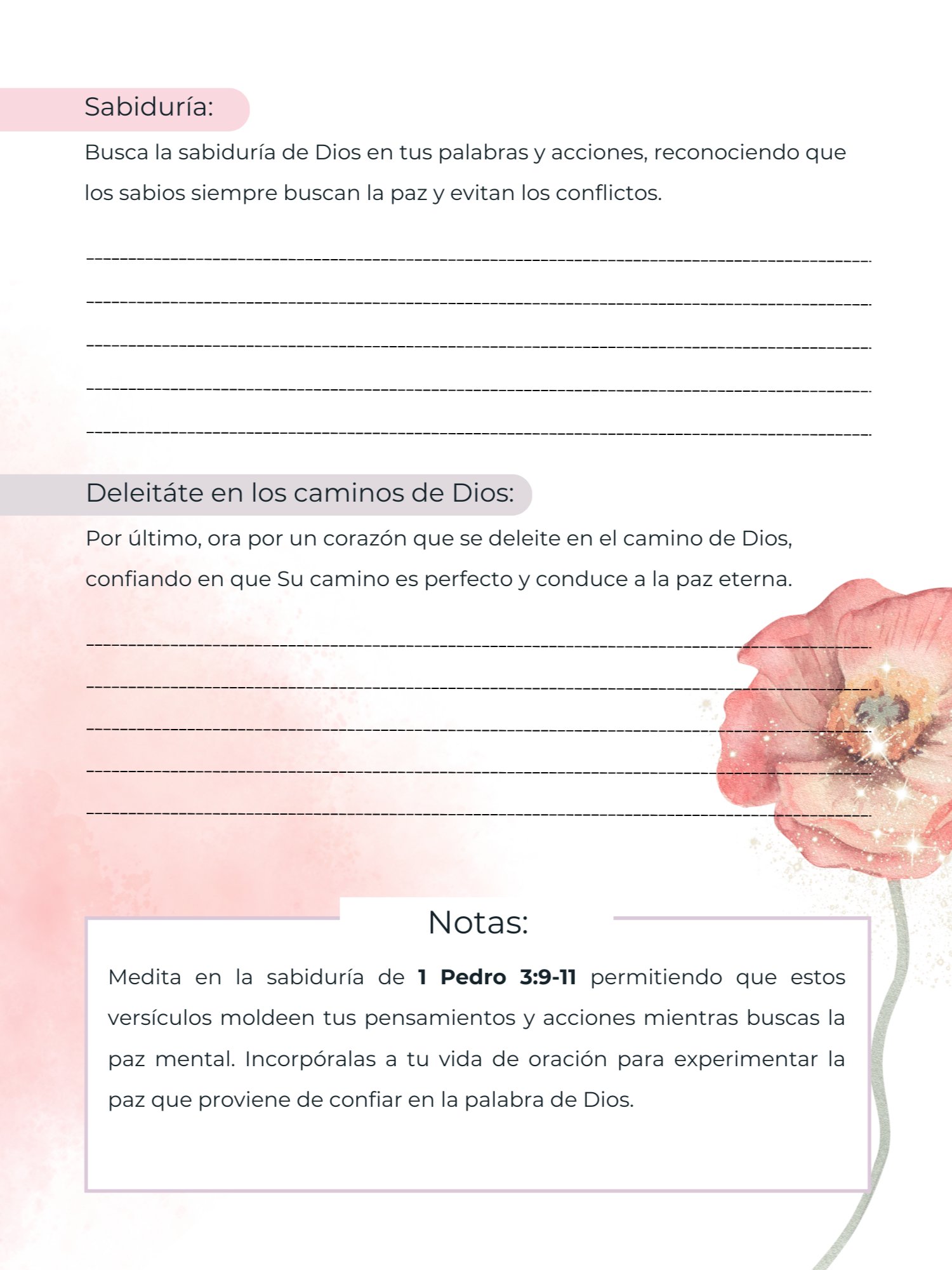 Bundle para renovar tu mente product image (6)