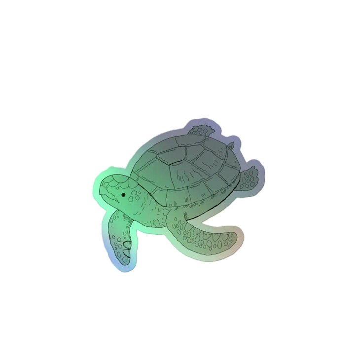 Turtle product image (2)