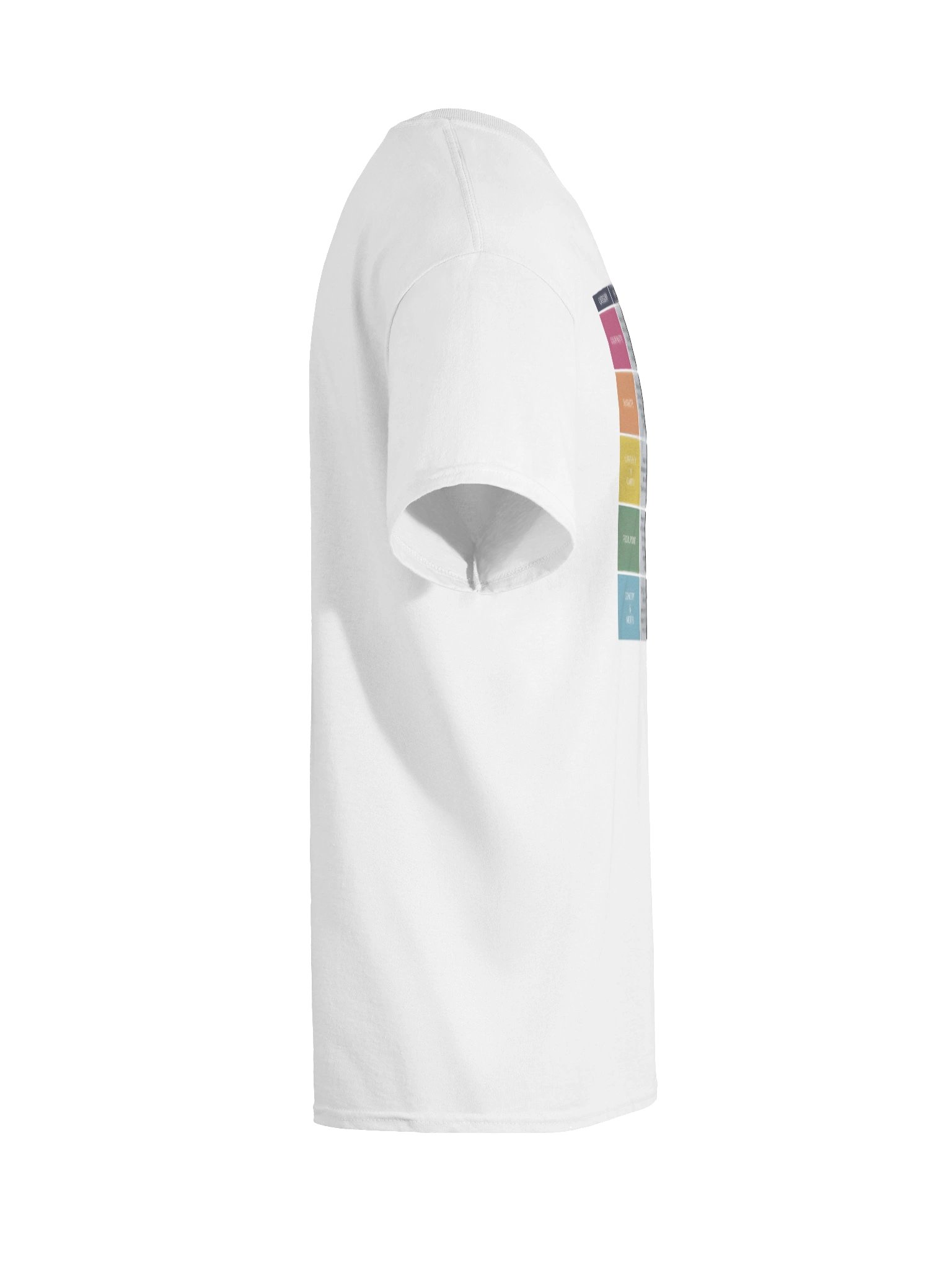 Squiiji's Character Design Rubric Tee product image (12)