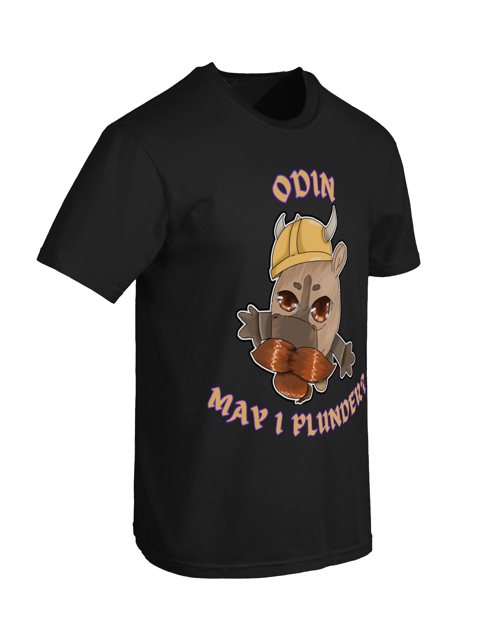 Odin, May I Plunder T-Shirt product image (19)