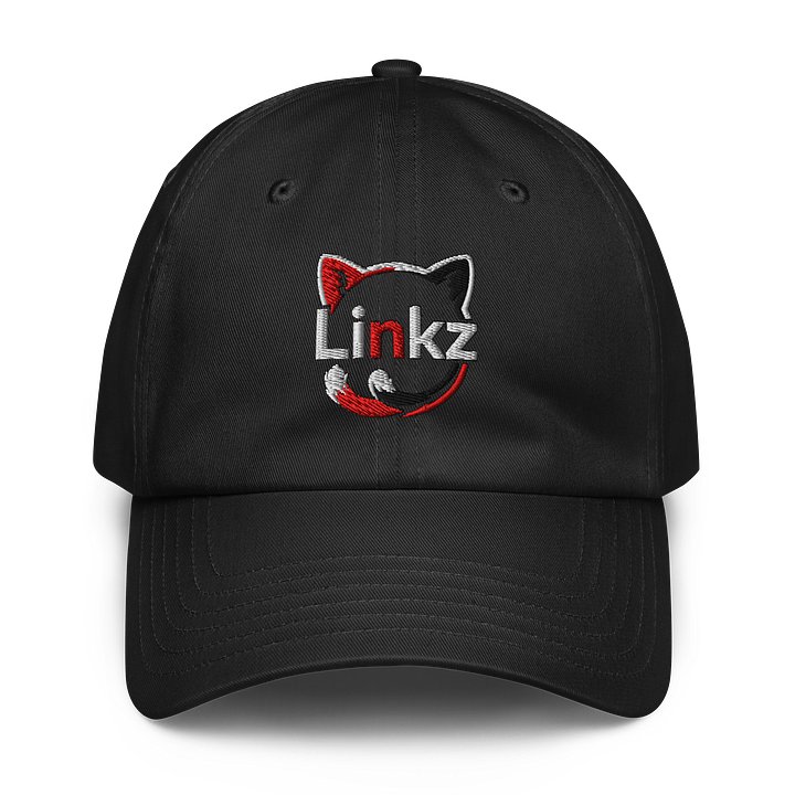 Linkz Logo Under Armour Hat product image (1)