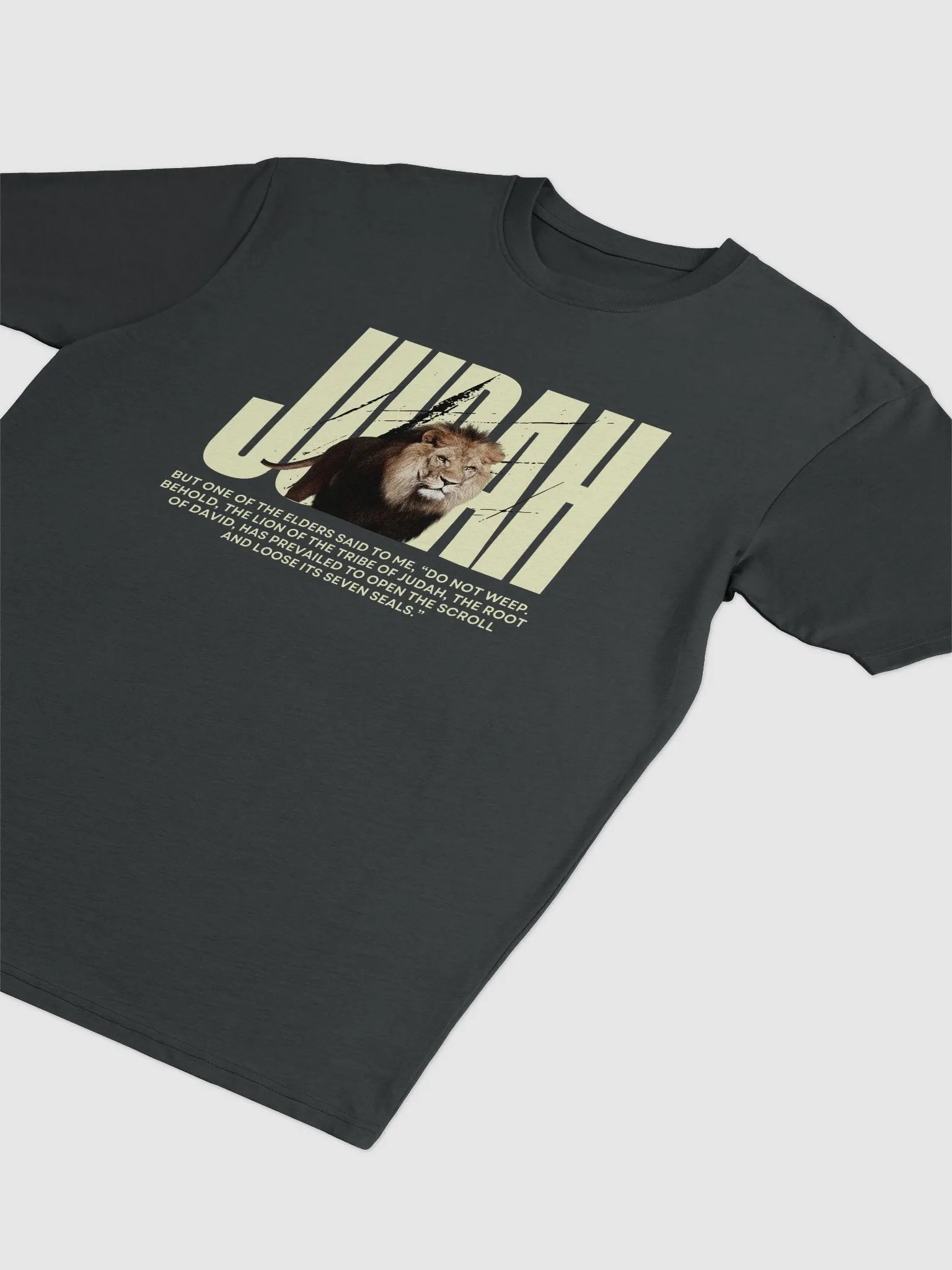 Lion of Judah Premium Heavyweight Tee product image (3)