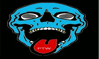 PsychoticTimeWasters