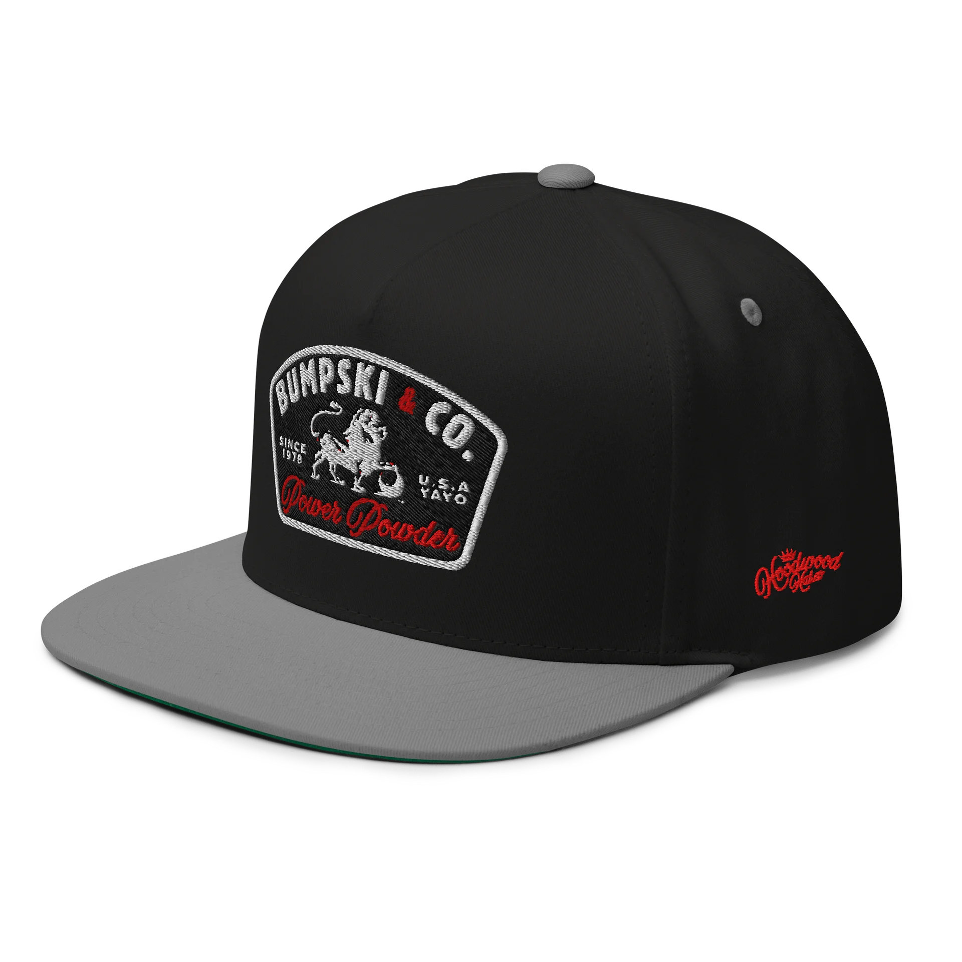 BUMPSKI & CO/POWER POWDER - Embroidered SnapBack product image (12)