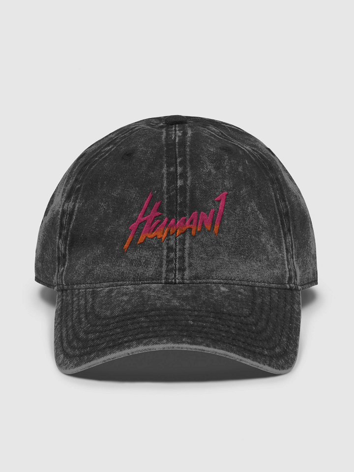 Human1 Embroidered Gradient || Vintage Dad Hat product image (3)