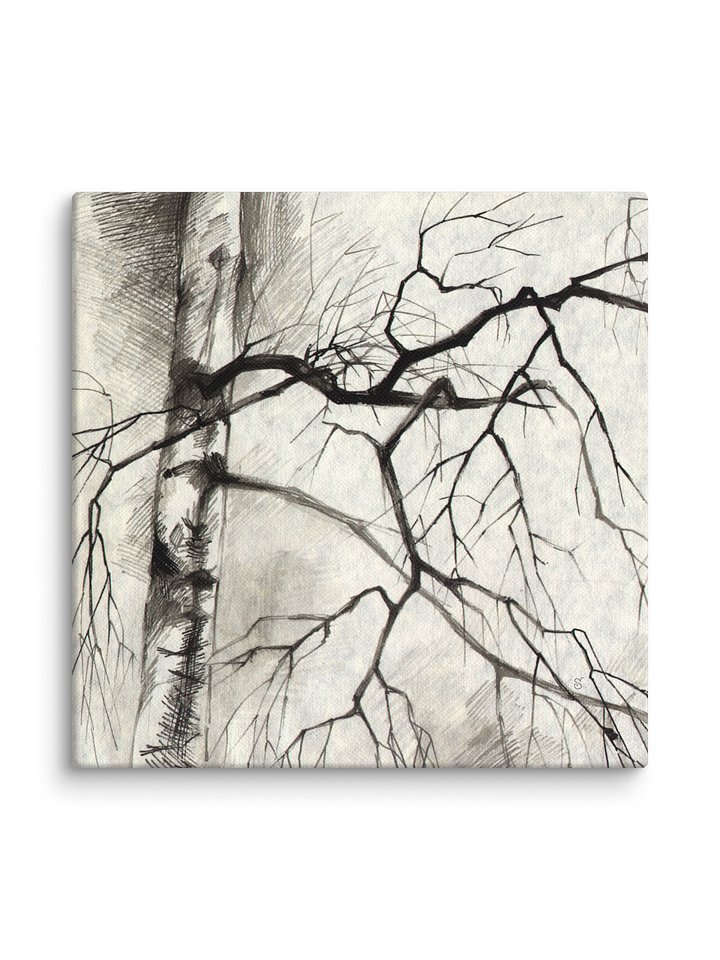 Birch Whispers Canvas - Birches product image (2)