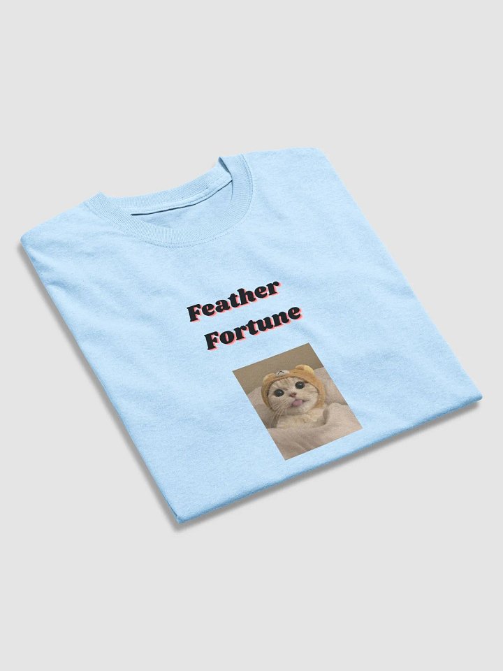 Feather Fortune Basics 1 product image (1)