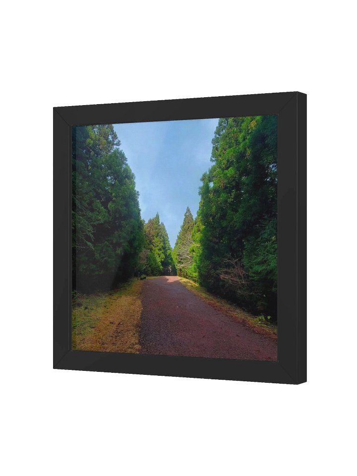 The Path product image (2)