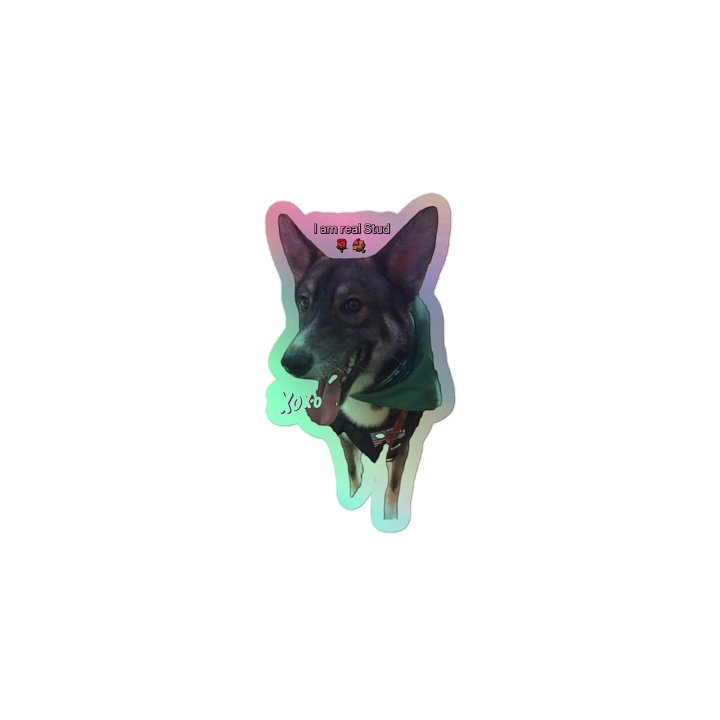 XOXO Stud dog product image (1)