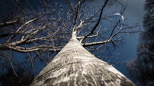The wonderment of 6mm ultra wide angle lens photography #insta360leicaawards