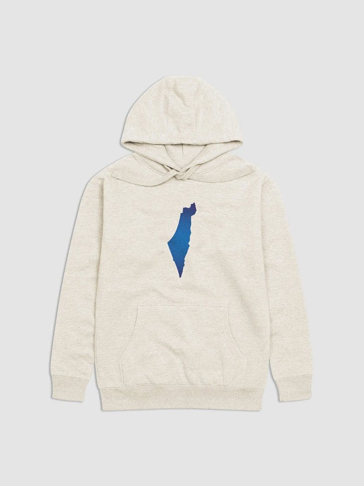 AM YISRAEL CHAI Premium Hoodie product image (16)
