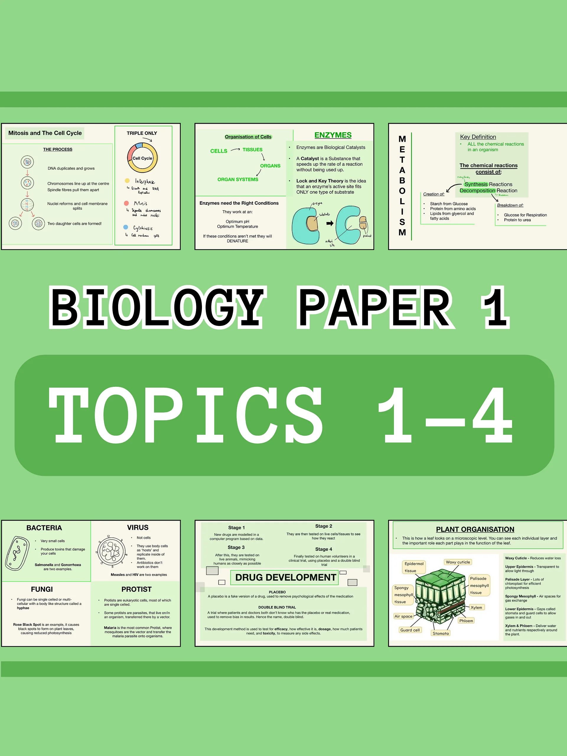 AQA GCSE Biology Paper 1 Revision Notes (35 Pages) | Revision Made Easy product image (1)