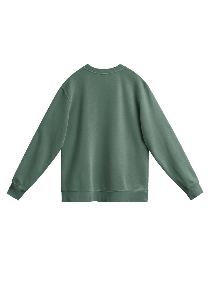 Vintage Pigment Dyed Crew Sweatshirt product image (6)