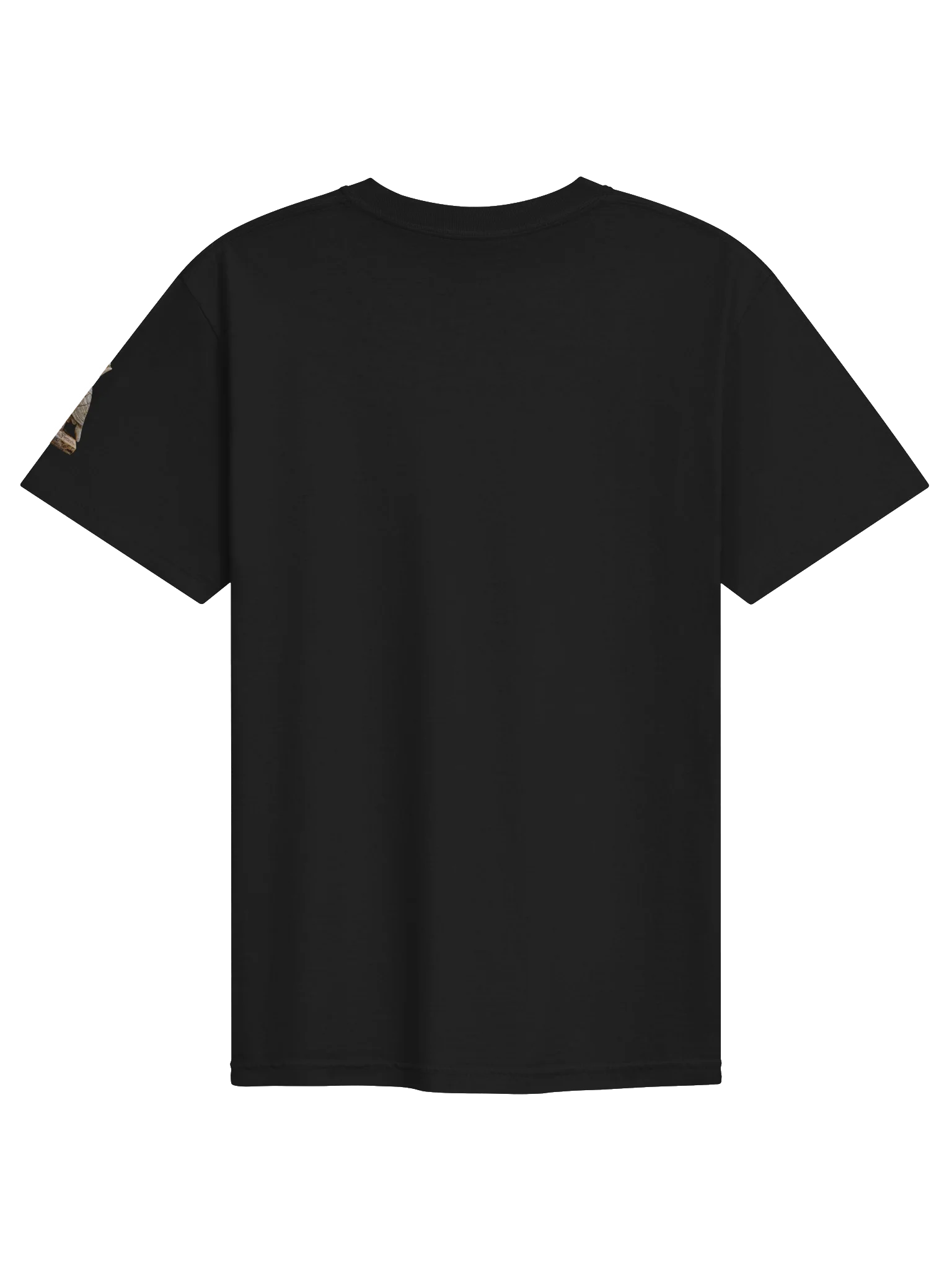 Aliencarvings.com Anunnaki Griffon Chariot T-Shirt product image (2)
