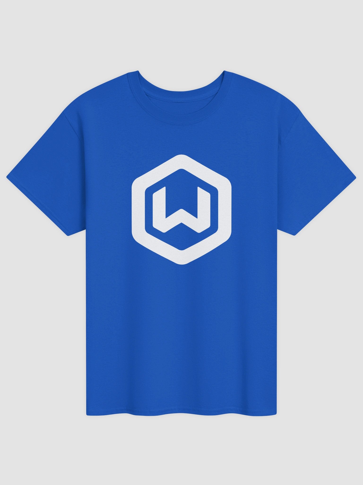 The Classic T-Shirt product image (1)
