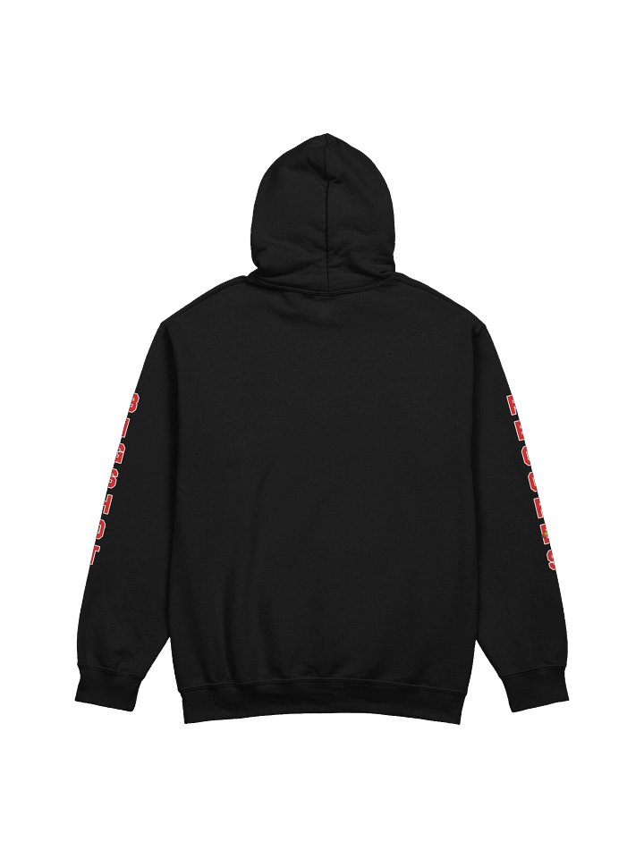 Classic Logo Hoodie product image (2)