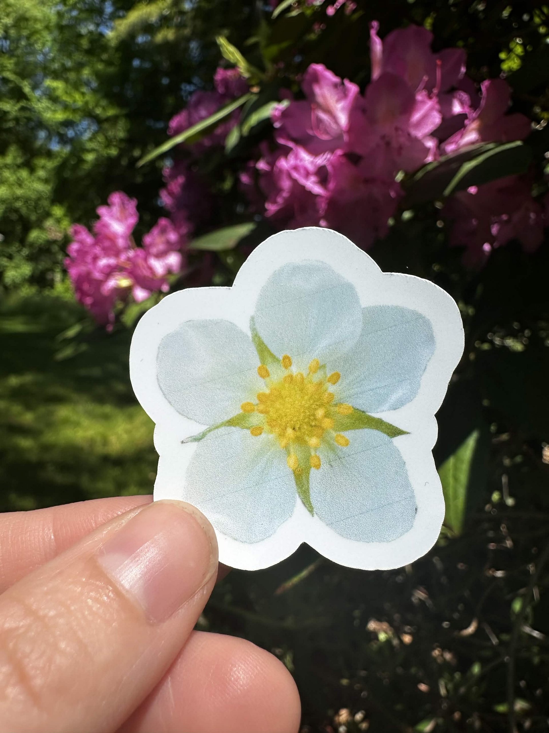 Strawberry Flower Sticker product image (1)